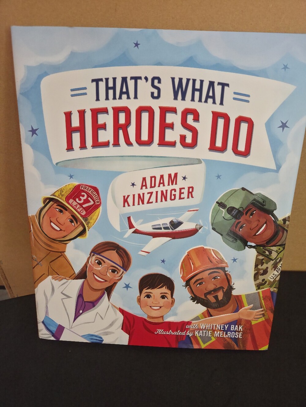 That's What Heroes Do (Picture Book)